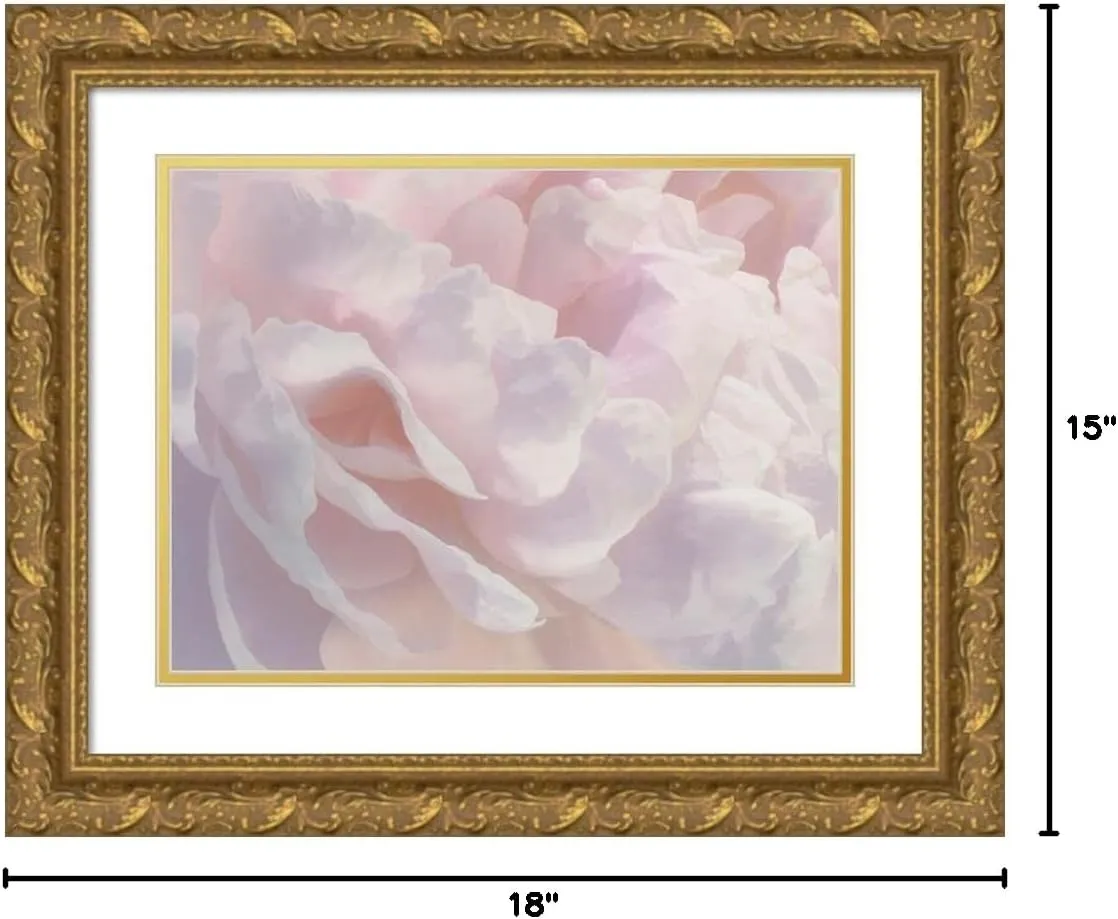 ArtDirect Peony Pink Blush III 18x15 Gold Ornate Wood Framed with Double Matting Museum Art Print by Pollard, David