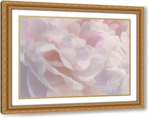 ArtDirect Peony Pink Blush III 18x15 Gold Ornate Wood Framed with Double Matting Museum Art Print by Pollard, David