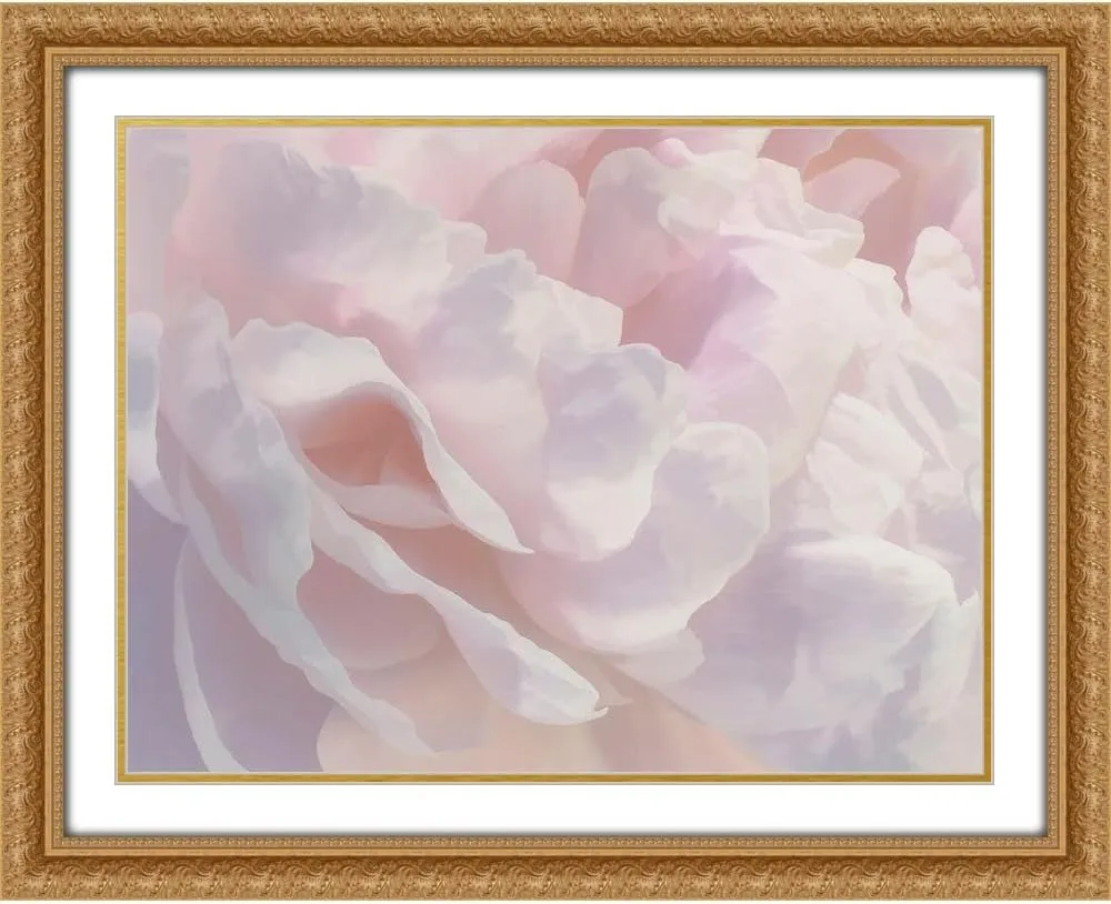 ArtDirect Peony Pink Blush III 18x15 Gold Ornate Wood Framed with Double Matting Museum Art Print by Pollard, David