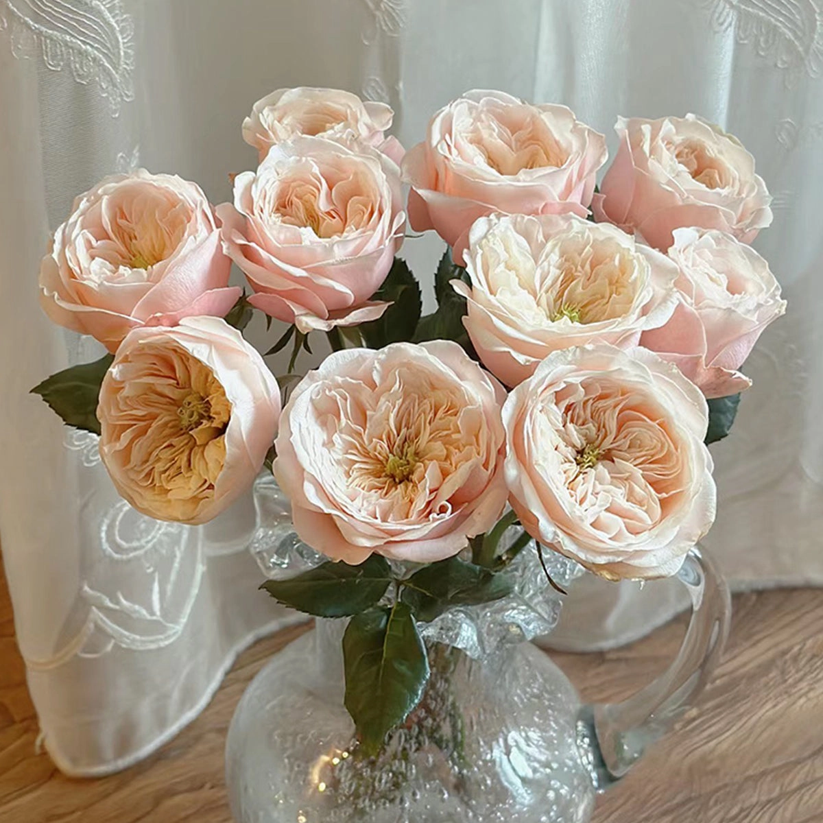 Darlington Netherlands Florist Shrub Rose