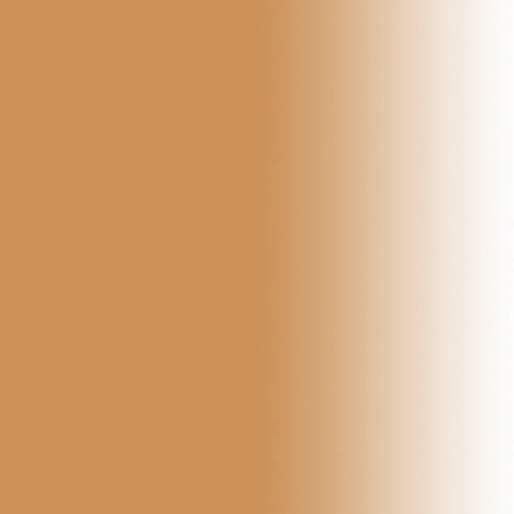 Dinair Airbrush Makeup Foundation | Light Golden Beige | GLAMOUR: Natural, Light coverage, Matte 1.15 oz.
