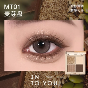 INTO YOU Four Shades Eyeshadow Palette #MT01