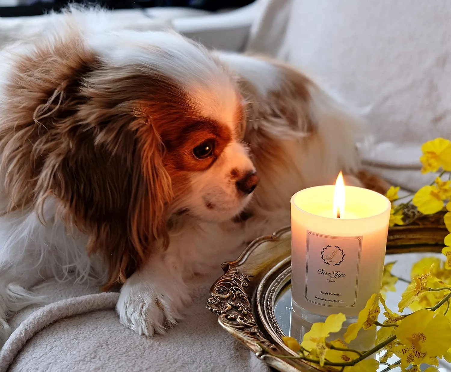 Natural Soy Wax Candle | Peony & Blush Suede | Luxurious Scented Candle Fragrance Aromatherapy | Clean Burning | Handcrafted | Plant-Based Vegan Eco Friendly | Pure Fine Essential Oils