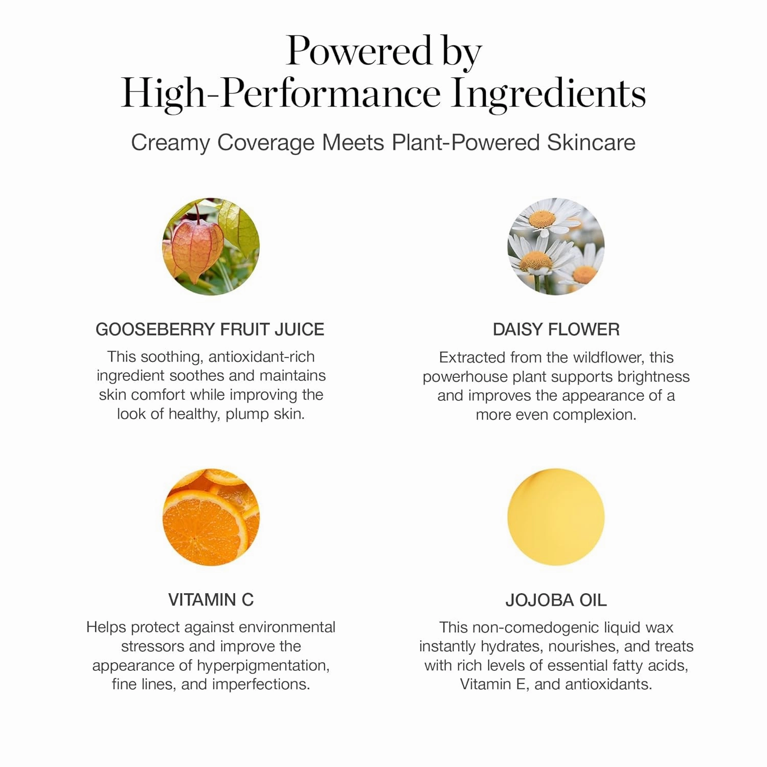Ogee Complexion Perfecting Liquid Foundation - Lightweight Tinted Moisturizer For Face (Birch 0.25N - Fair, Neutral Undertones) - with Vitamin C & Jojoba Oil - Certified Organic & Made in USA