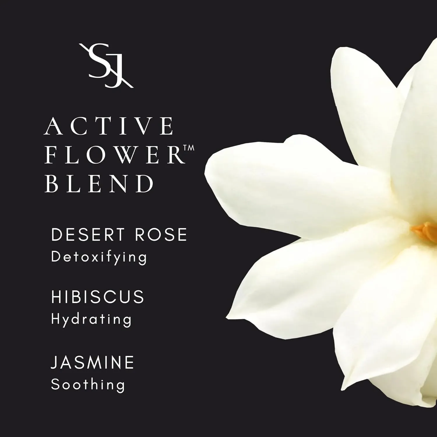 SAINT JANE - Luxury Sun Ritual - Pore Smoothing SPF 30 Mineral Sunscreen | Luxury, Floral-Infused, Clean Skincare (1.7 oz | 50 ml)