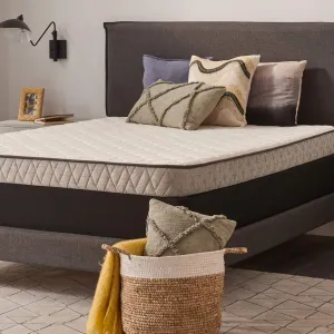 Sealy Essentials Spring Spruce Firm Feel Mattress and 5-Inch Foundation, Full