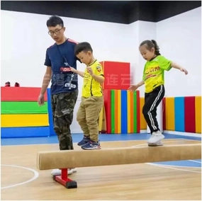 YXXSDP 6.6 Ft Long Balance Beam-Gymnastics Beam-Floor Beam for Kids Adults, Professional Extra Firm Walking Beams Bar, Home Gymnastics Equipment for School Gym Club