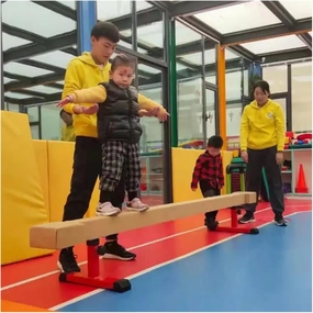 YXXSDP Gymnastics Training Suede Balance Beam, Professional Home Floor Beam Gymnastics Equipment, Kids & Adults Walking Beams with Non Slip Base Covered, for Competition Training